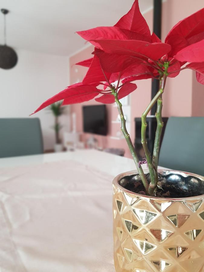 Apartmani Milutin Бродарица Экстерьер фото